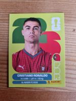 WM 2026, Paninibild