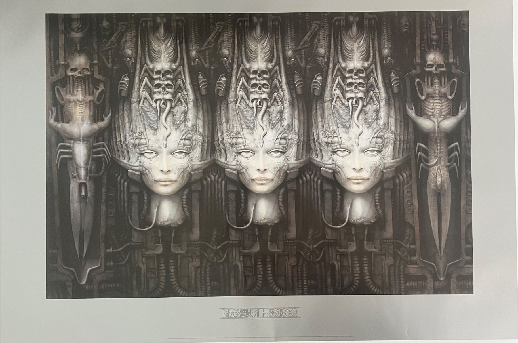 Grafica & Litografie: Hans-Rudolf Giger – Usato da Rain venduto da Pic-Ass