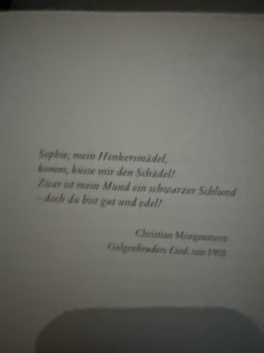 Livres: Daniel Holbe Schwarzer Mann Kriminalroman TB – D'occasion à Zürich par Krikri21 4