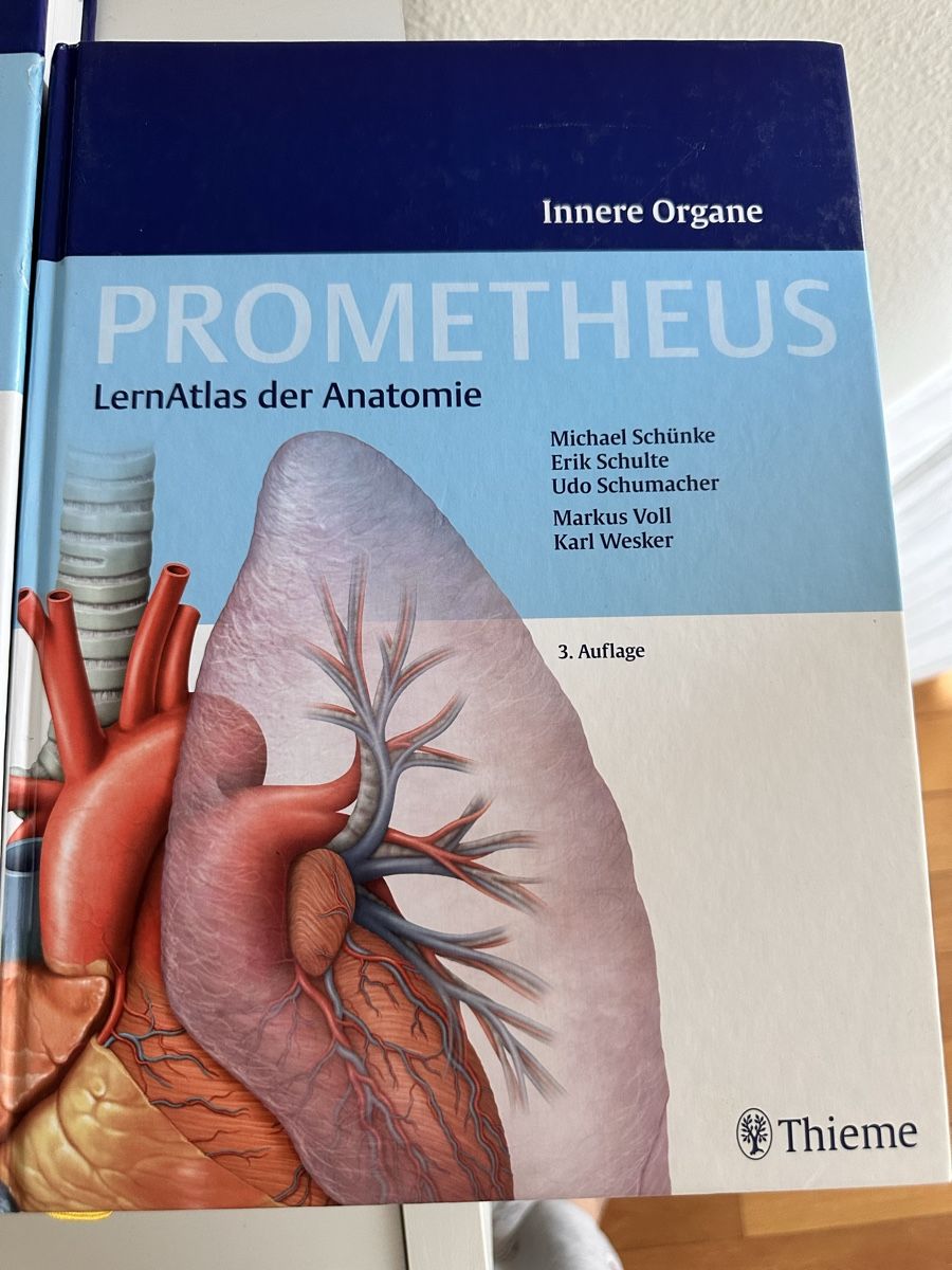 Libri: PROMETHEUS LernAtlas der Anatomie – Usato da Basel venduto da sve_2kxk 1