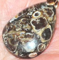 Anhänger L-6163 – Turritella Achat Cabochon 25X17mm