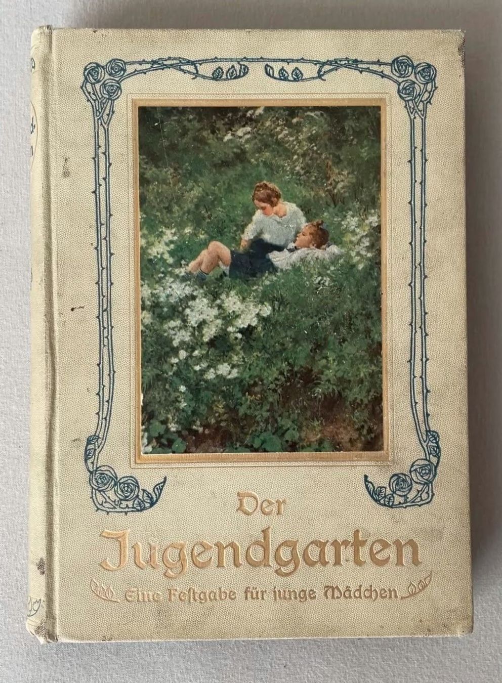 Libri: Antikes Jugendbuch "Der Jugendgarten" – Usato da Adliswil venduto da Duenenwanderer
