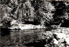 Fotografie: Am stillen Wasser