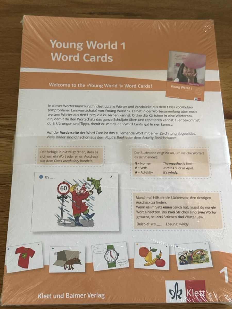 Altro materiale scolastico: Lernkarten Young World 1 – Nuovo e nell'imballaggio originale da Rapperswil SG venduto da kamost