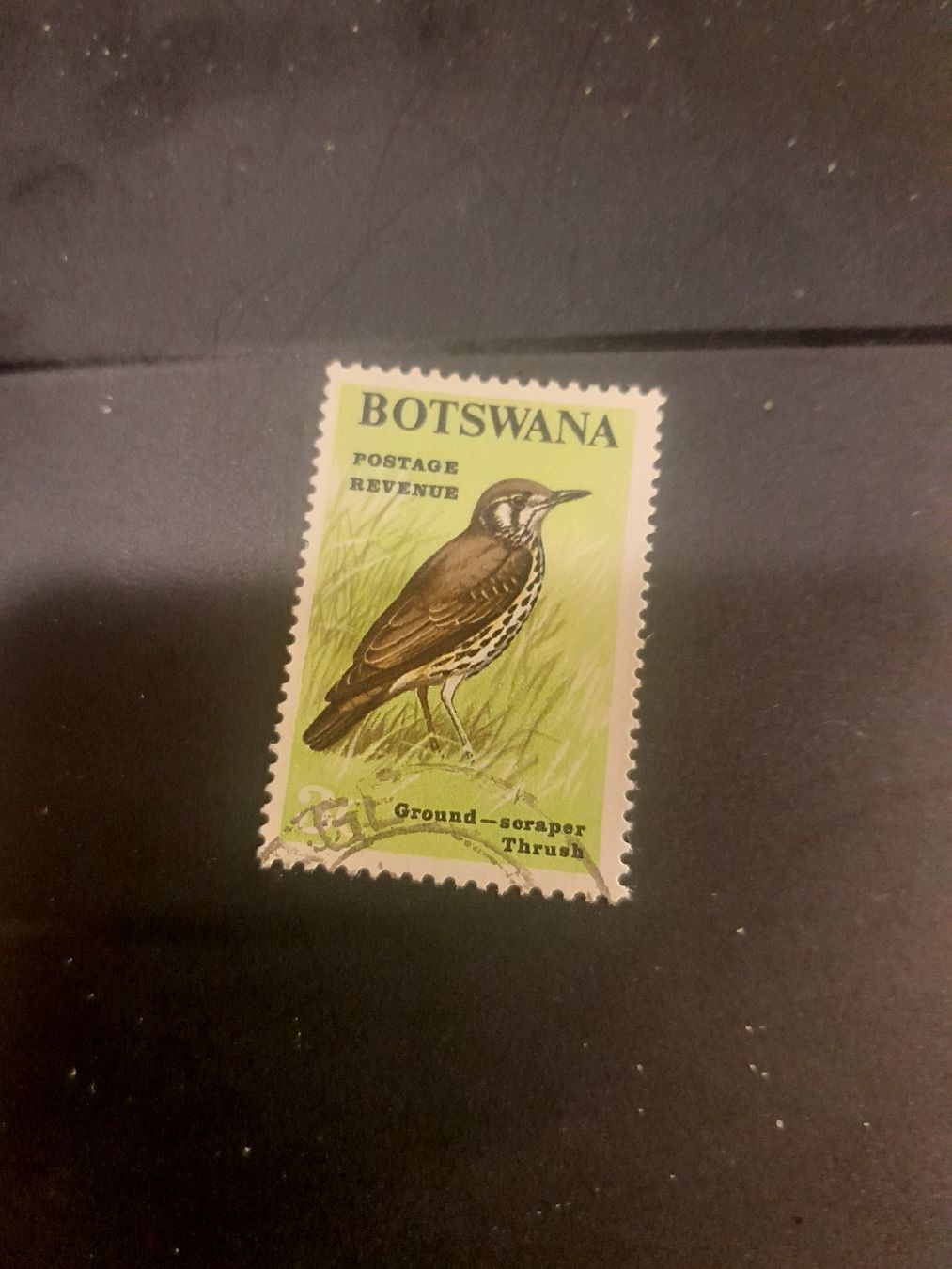 Tutti i francobolli: Timbre Botswana Oiseau - Thrush Ground-Scraper rare! 49 – Usato da Marly venduto da globetrotter1723