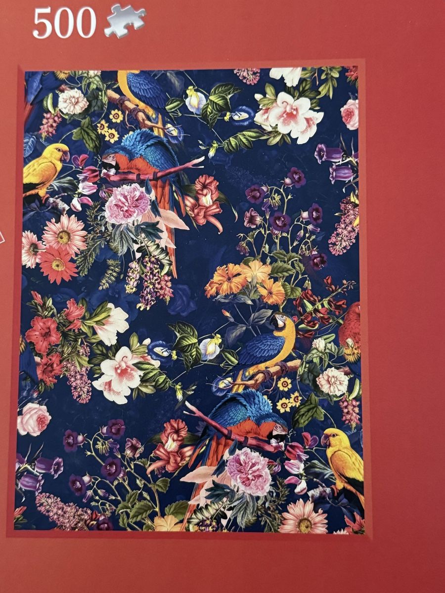 Ravensburger Puzzles: Puzzle – Neu (gemäss Beschreibung) aus Beringen von ste_bh8w 1