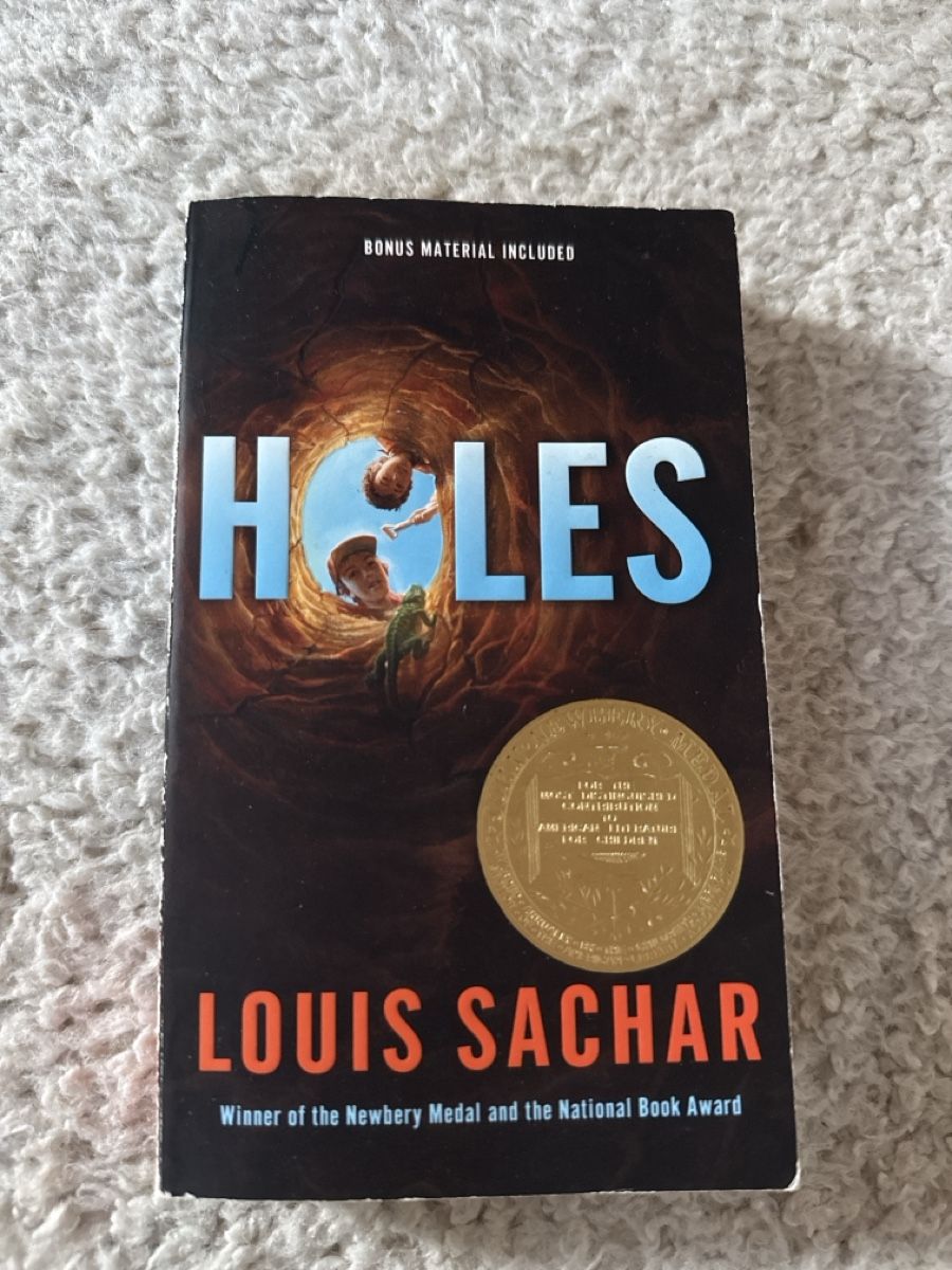 Bücher: Buch "Holes" von Louis Sachar – Gebraucht aus Hettlingen von lau_9hnp