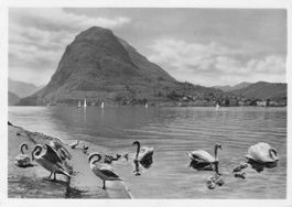 CP/TI Lugano , 1948