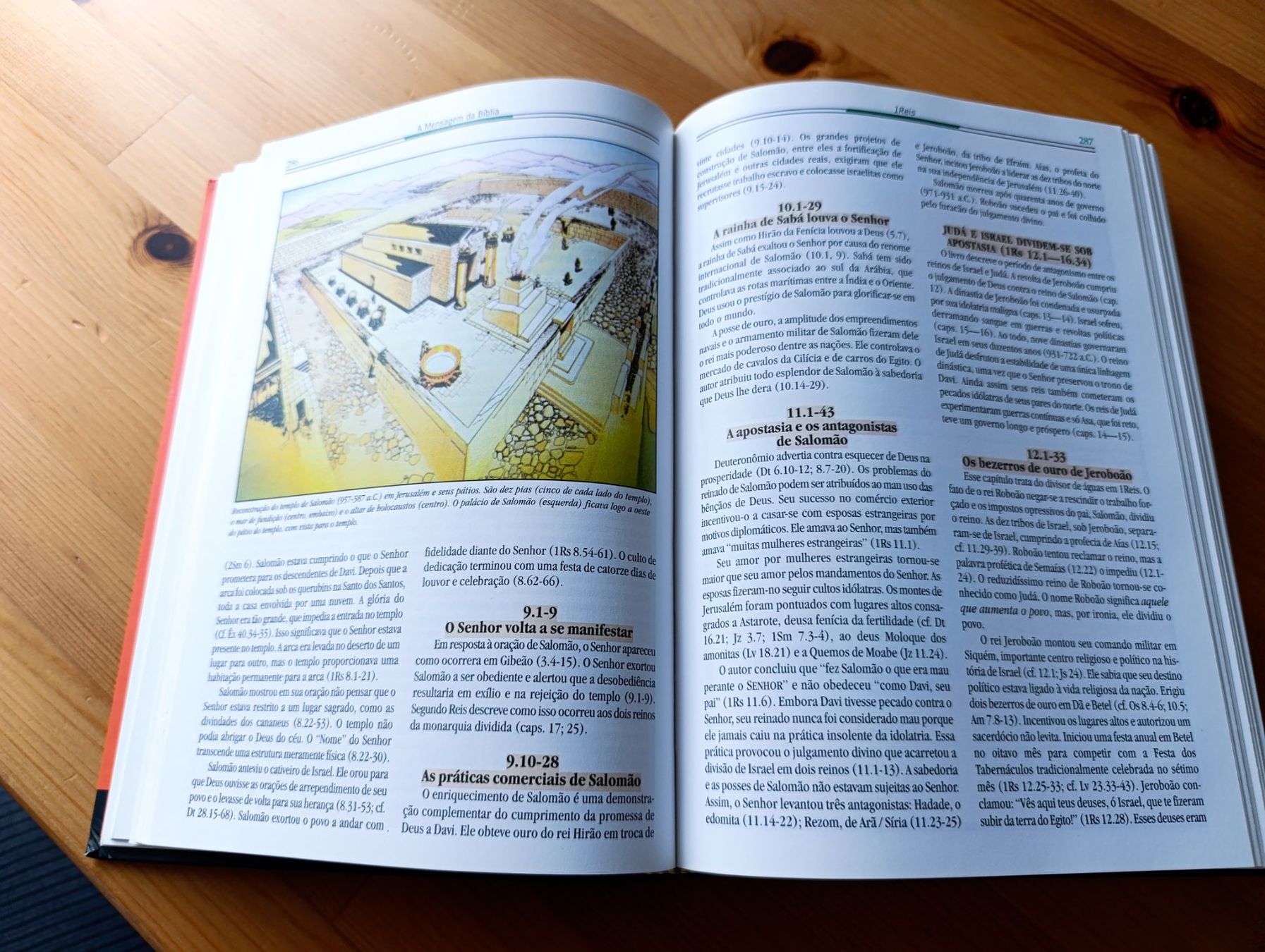 Libri: Manual Biblico Vida Nova – Usato da Prangins venduto da Timband 8