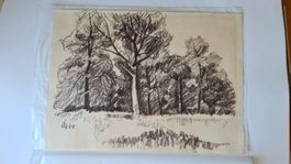 Miroslav Sasek Orig. Fettkreide 1964