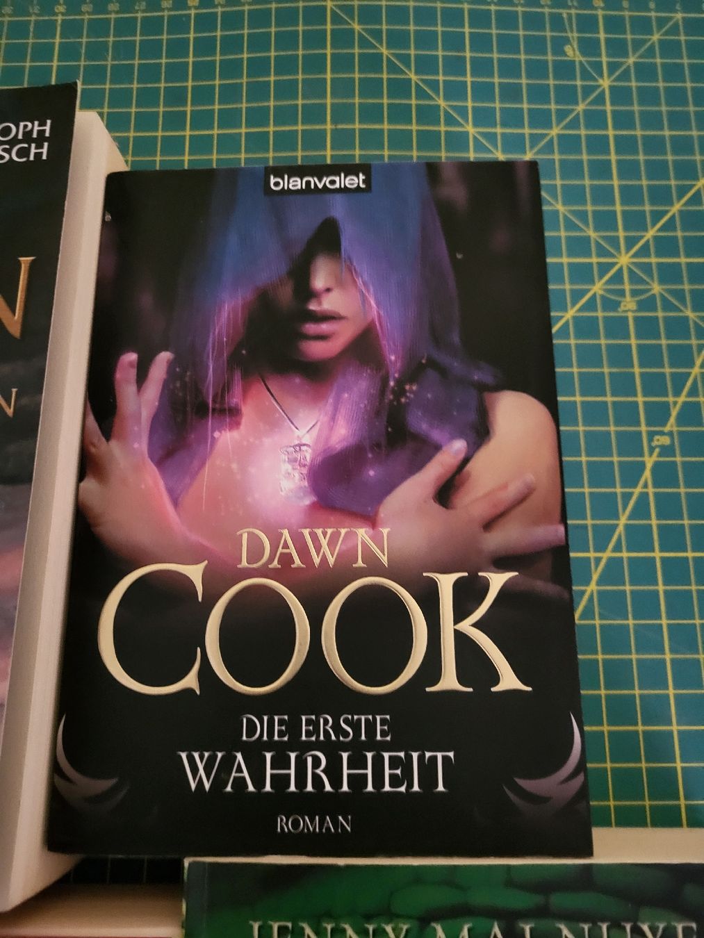 Libri: 7 Fantasybücher – Usato da Möriken AG venduto da Vandine 4