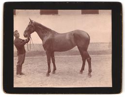 Fotografie K. u. K. Soldat mit Pferd