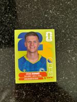 Panini Dzenis Burnić BIH 14