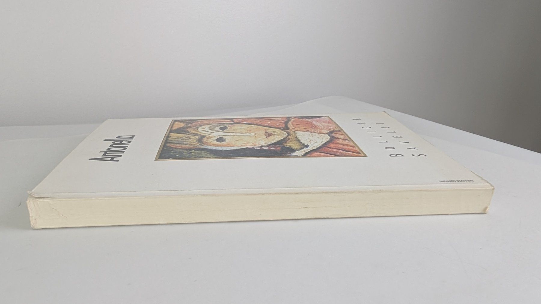 Libri: Antonella - Bolliger Savelli, Kunstbuch, Signiert&Nummeriert – Usato da Zürich venduto da axolottchen 1