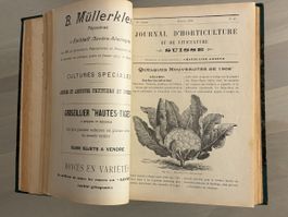 JOURNAL D'HORTICULTURE ET DE VITICULTURE SUISSE 1907-1910