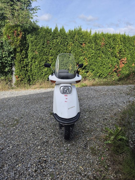 Honda Spacy 125 Roller zu verkaufen (Gebraucht) in Staffelbach für CHF ...