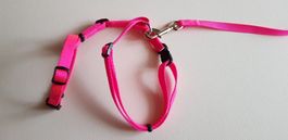 verstellbares Hundegeschirr mit Leine