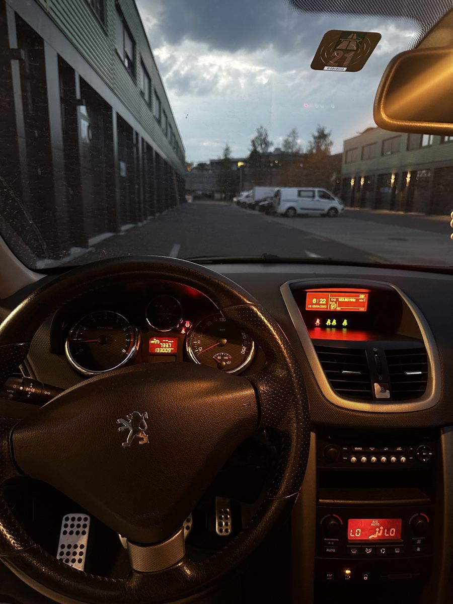Peugeot Automobili: Peugeot 207 GTI – Usato da Rüti ZH venduto da pau_8wb5 8