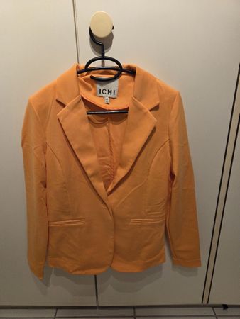 Blazer Ichi