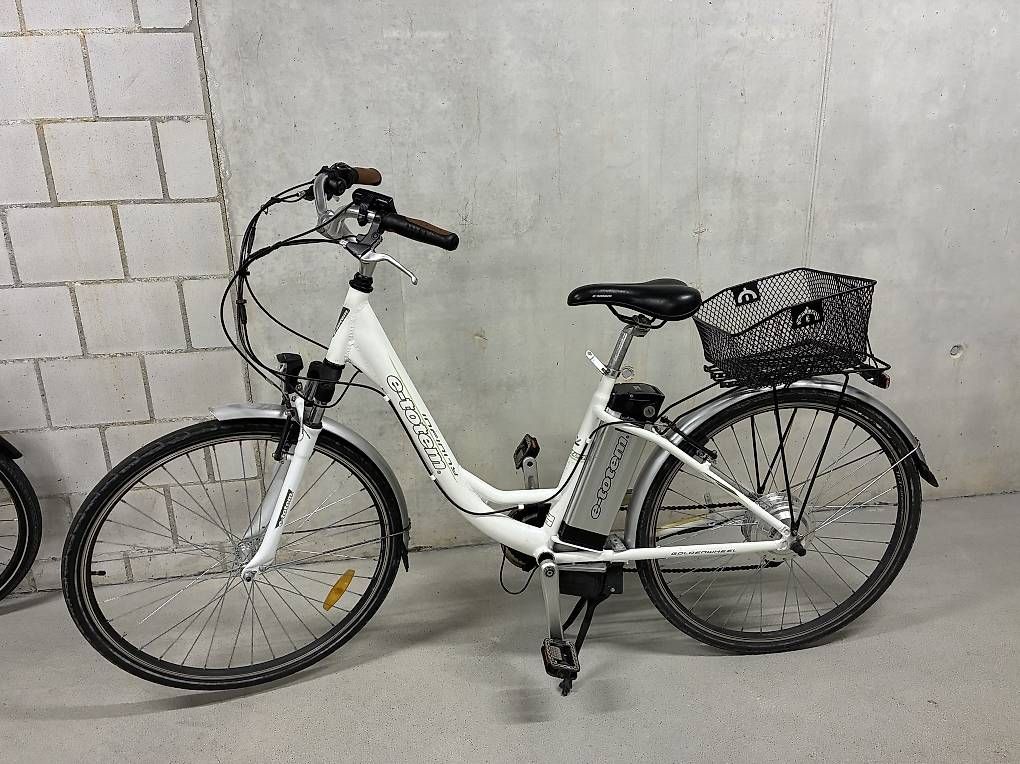 Totem Velos: Totem City e-bike infinity – Gebraucht aus Bern von annbobern