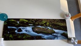 Photo poster panoramique 20x60 "Les gorges de l'Orbe"