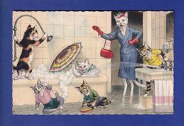 CHAT - Chats humanisés