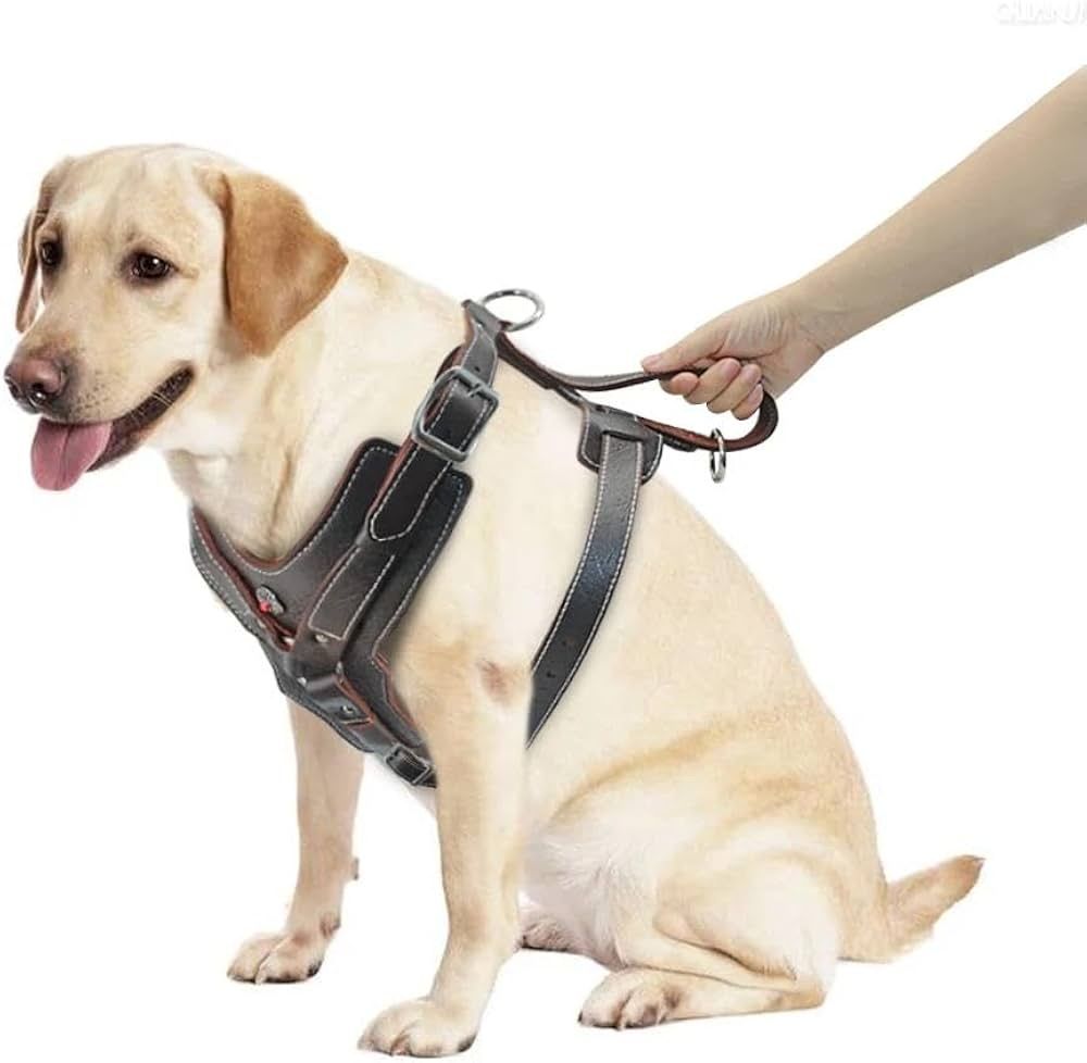 Bekleidung: Hundegeschirr – Neu (gemäss Beschreibung) aus Elgg von dan_f8gv 5