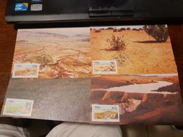Cartes Postales Afrique du Sud, Timbres RSA - Collection!🇿?