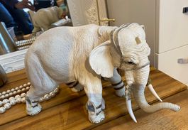 Elefant Elephant Weiss