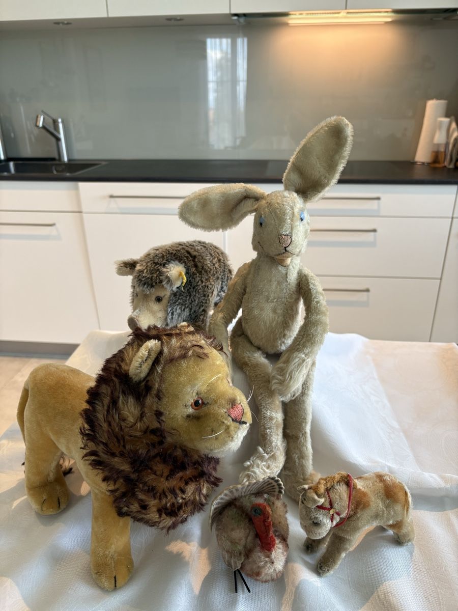 Steiff Spielzeuge: Steifftiere – Gebraucht aus Schönenberg ZH von Roxana8820
