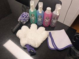 Dr. Glossy Reinigungsset - Wascheimer All in Set