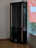 Vitrine schwarz mit Beleuchtung guter Zustand Schrank