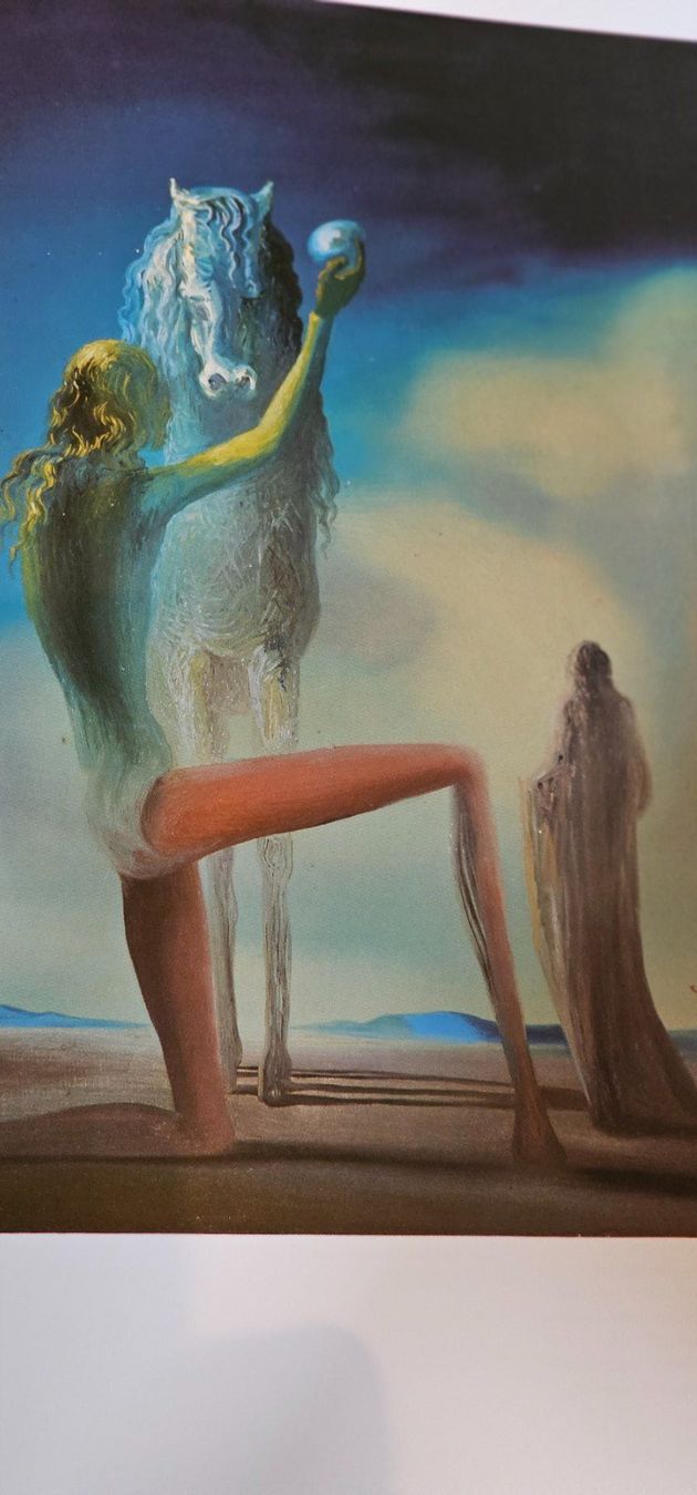 Libri: Bilderband Dali – Usato da Tuggen venduto da man_qk6c 1