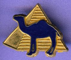 CAMEL   