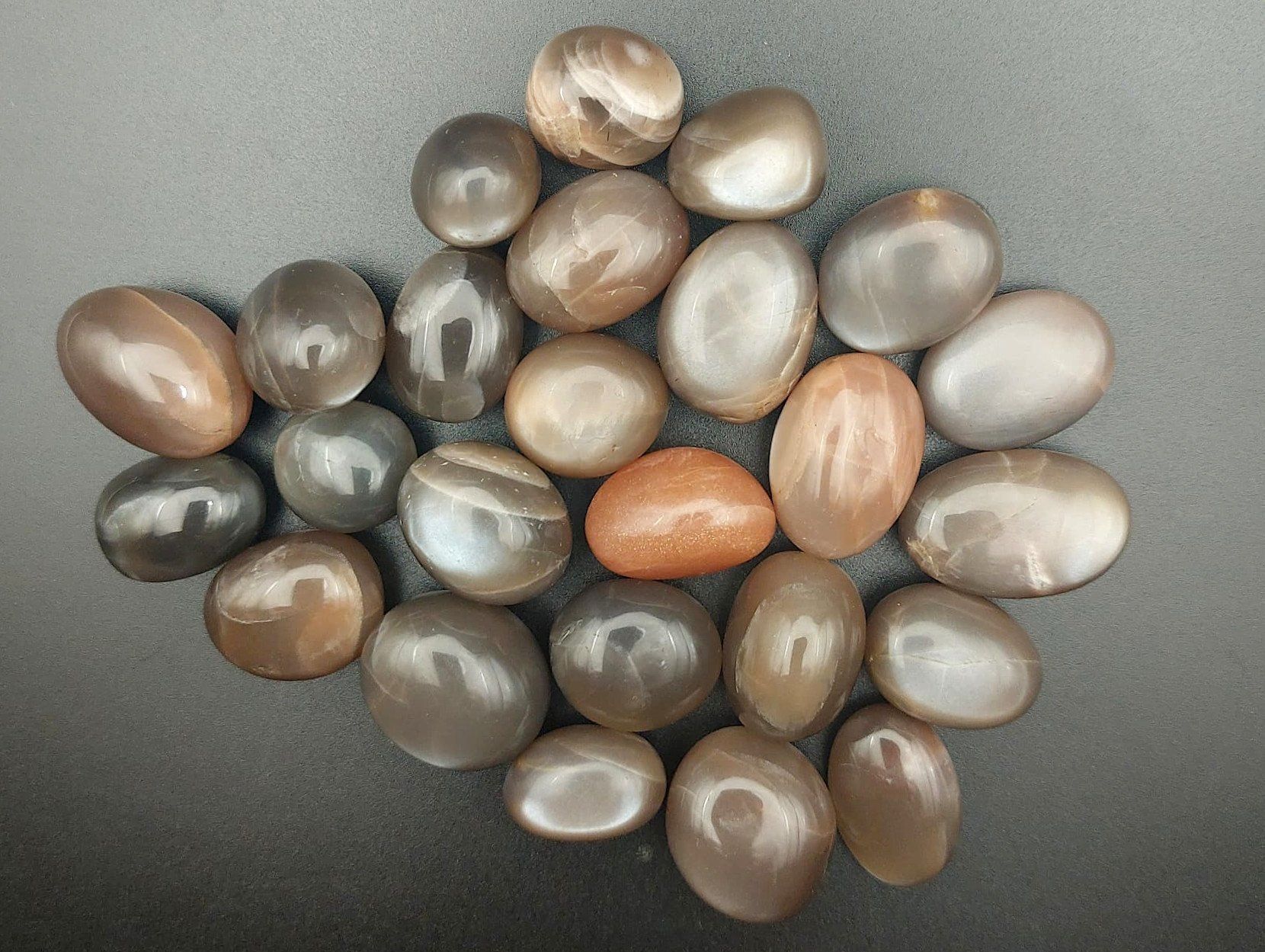 Mineralien & Heilsteine: 1x Mondstein, Top Qualität – Neu (gemäss Beschreibung) aus Bern von r2-_-d2 1