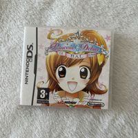 Princess Debut DS Spiel