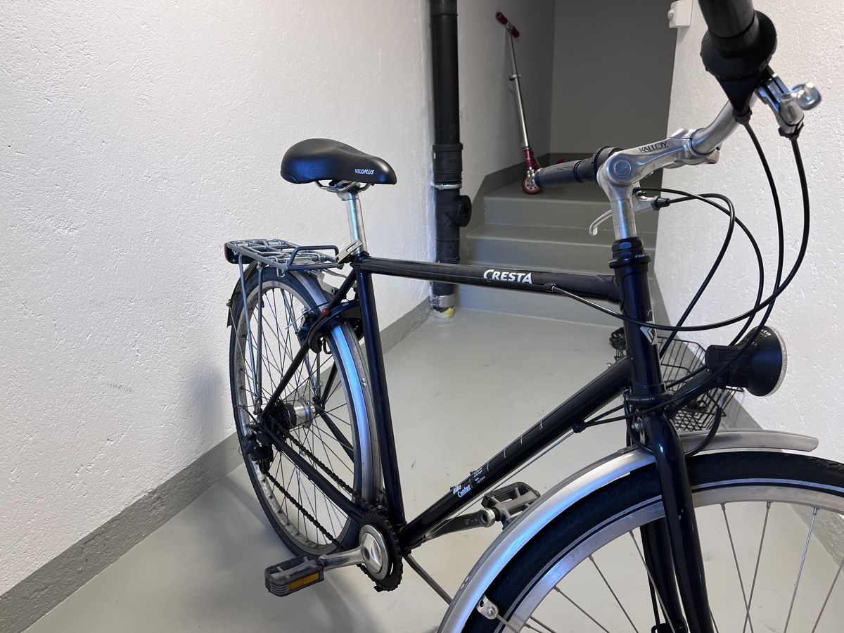 Cresta Biciclette: Cresta Velo / Fahrrad – Usato da Bern venduto da alinatalia 3