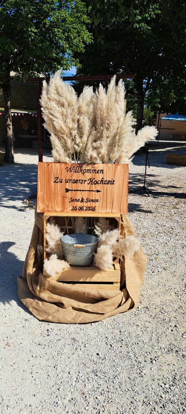Toutes les décorations: Pampasgras / Hochzeitdekorations – Neuf (Voir description) à Rheinsulz par loeli 4