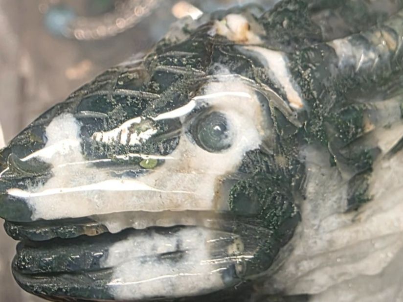 Minerali & Pietre curative: Majestätischer Moosachat Drache 970g – Nuovo e nell'imballaggio originale da Matzingen venduto da Shay_Crystalz 7