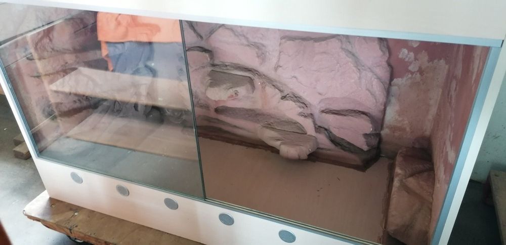 Terrarium gebraucht Kaufen auf Ricardo
