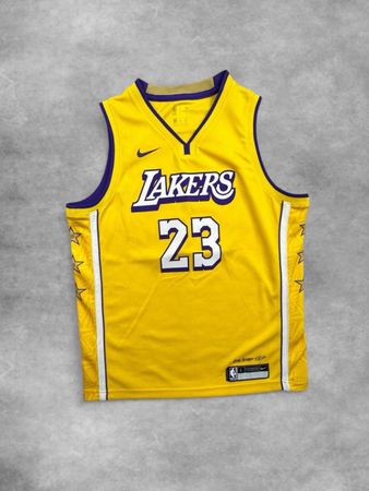 Nike NBA lebron james jersey