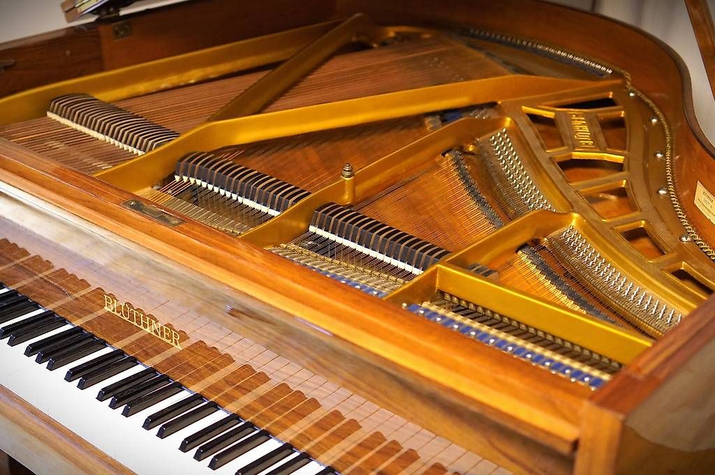 Musikinstrumente: Flügel Blüthner 150 silent – Gebraucht aus Küttigen von PianoSarbach 2