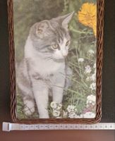 Vintage Bild/Untersetzer mit Katze im Weidenrahmen