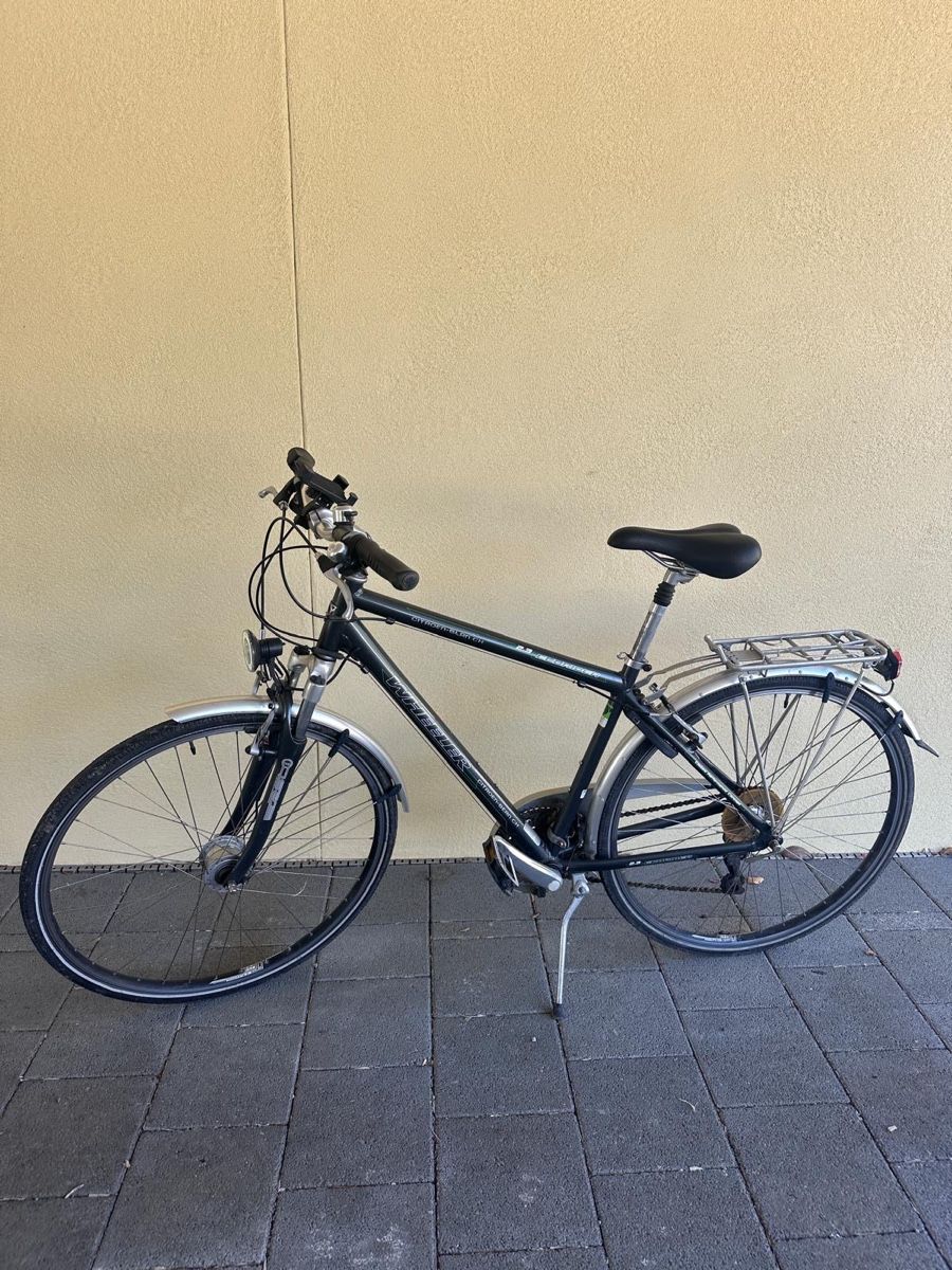 Wheeler Biciclette: Wheeler 2.3 Ecorider – Usato da St. Antoni venduto da SonnyCrocket92 1
