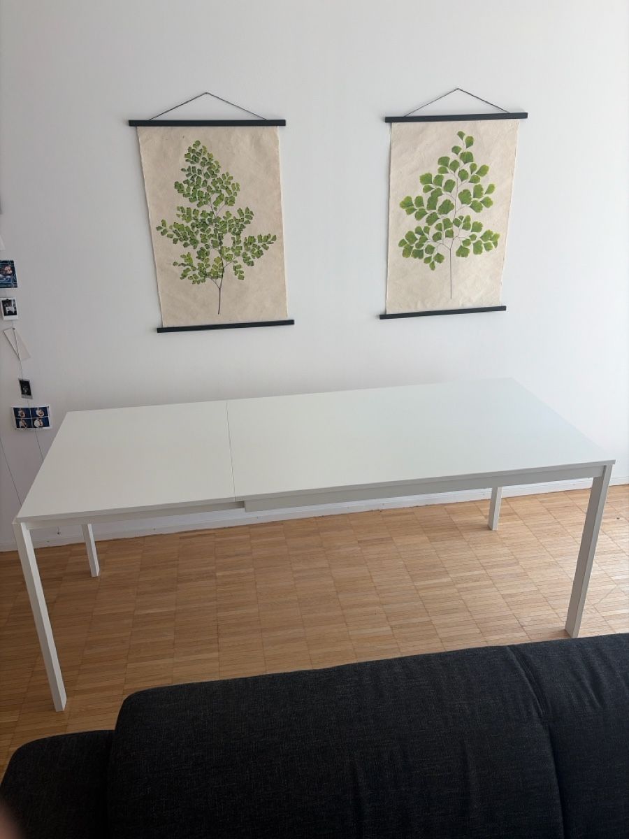 Ikea Tavoli: IKEA Vihals Extendable Table – Usato da Zürich venduto da emi_lj5l 5