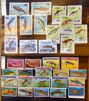 Motive - Fische / Poissons