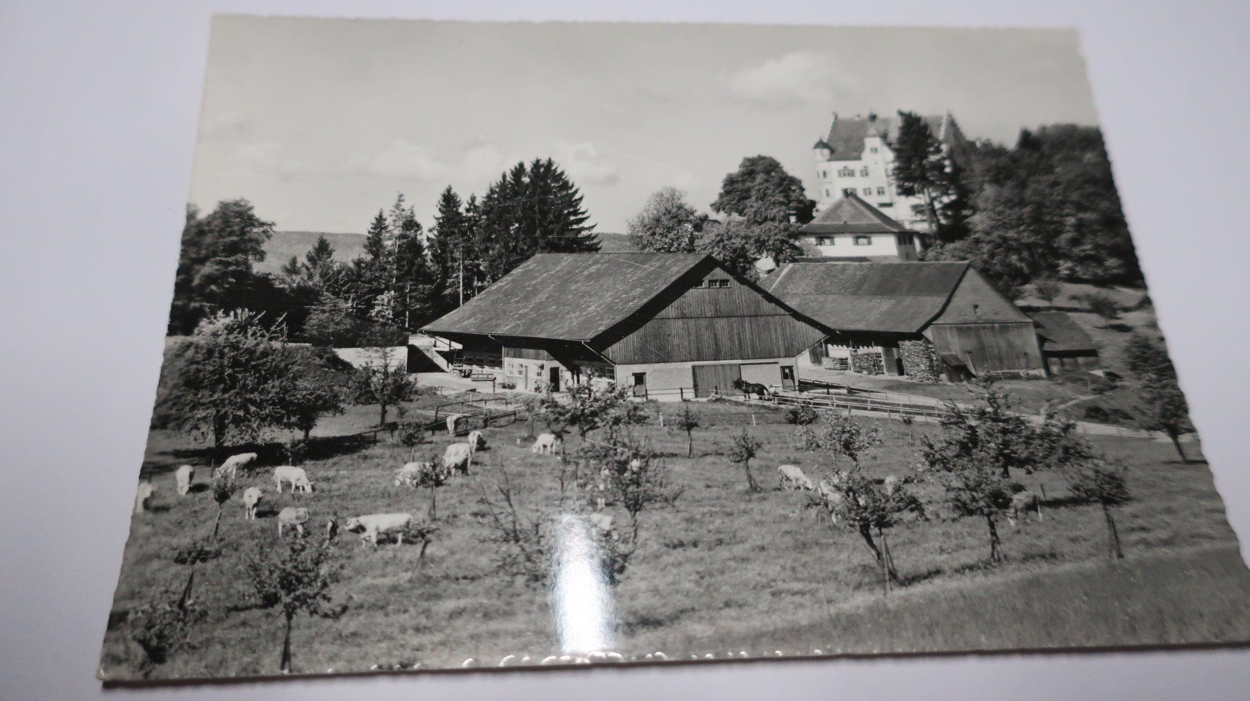 Cartoline postali: Schloss Sonnenberg Steffurt (TG) – Usato da Cormoret venduto da Pascalll2001 1