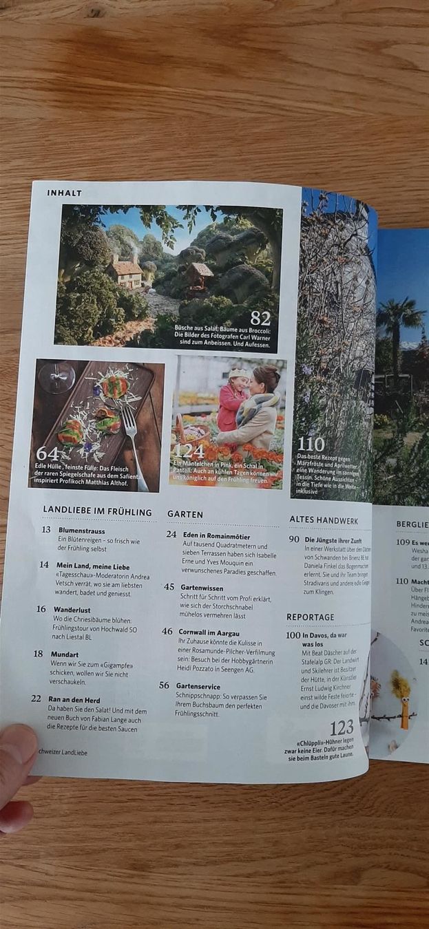 Riviste & Magazine: Schweizer Landliebe Nr. 2/2023 – Nuovo (secondo la descrizione) da Affoltern am Albis venduto da Sabinezc 1