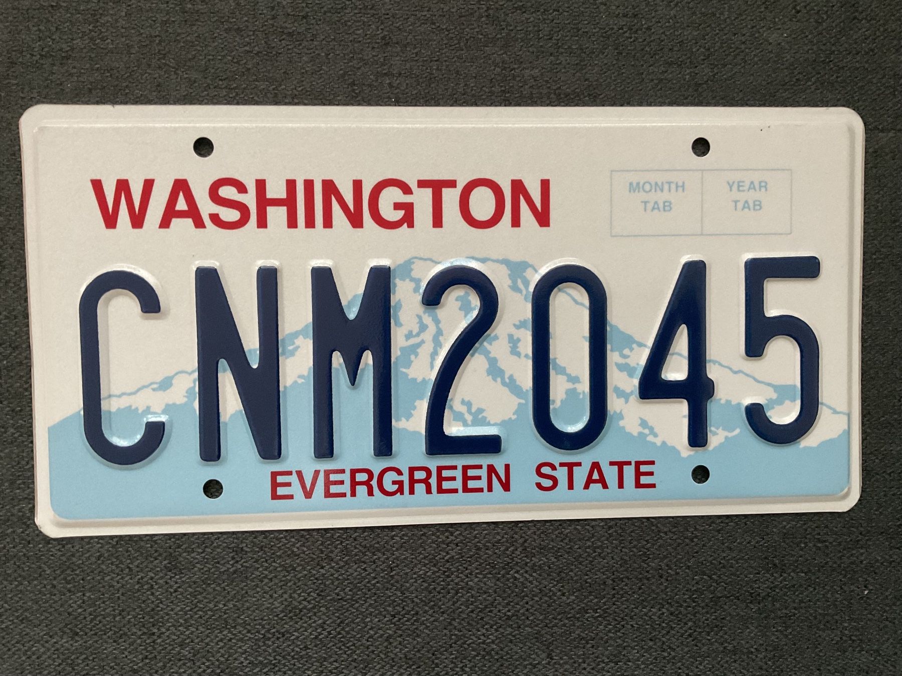 Insegne: USA KENNZEICHEN # WASHINGTON # EVERGREEN STATE – Usato da Wattwil venduto da Ismeinding