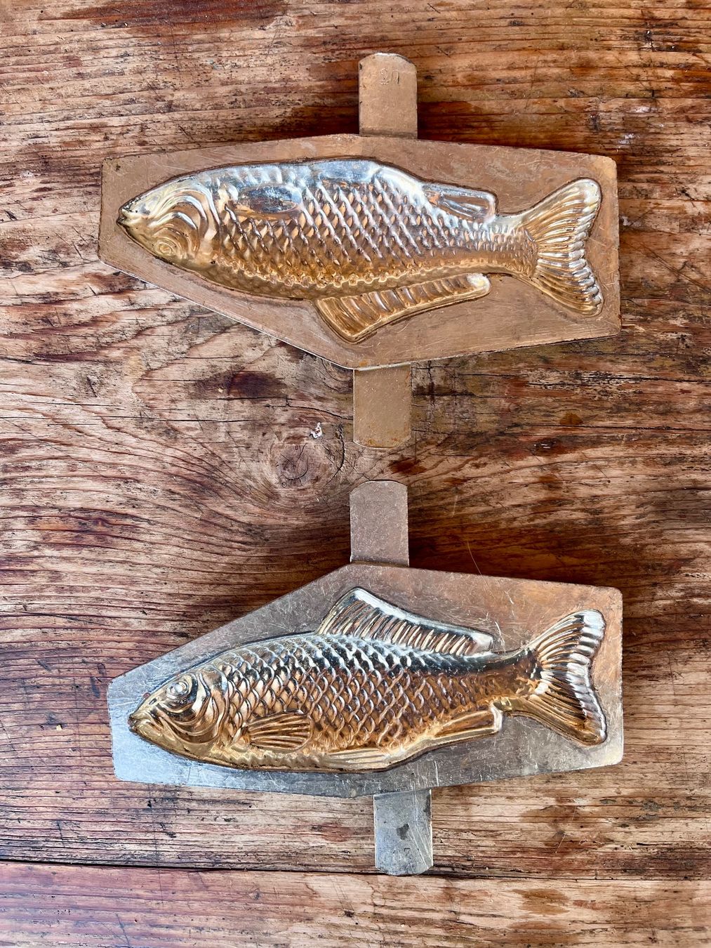 Teglie da forno: Schokoladen-Giessform Fisch – Usato da Erlenbach im Simmental venduto da ancatan